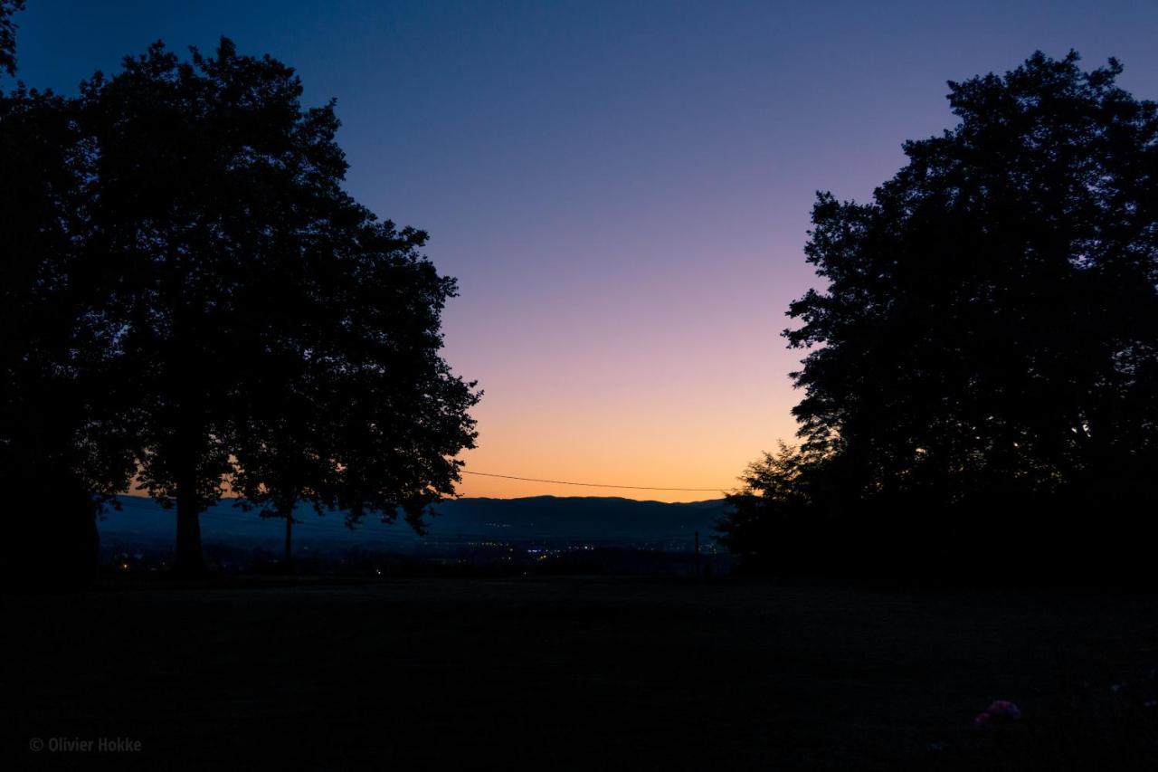 Chateau Des Charmes Guereins Buitenkant foto