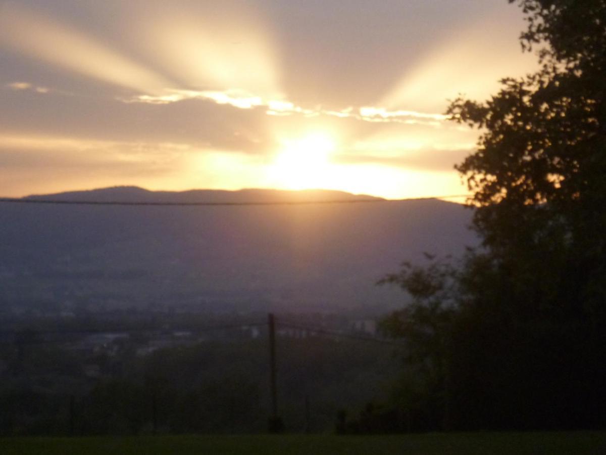 Chateau Des Charmes Guereins Buitenkant foto