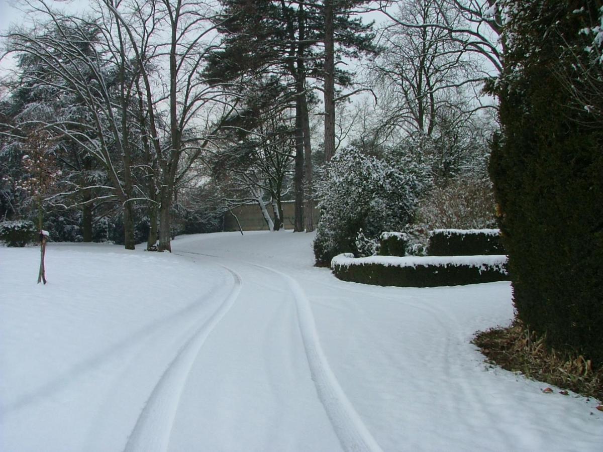 Chateau Des Charmes Guereins Buitenkant foto