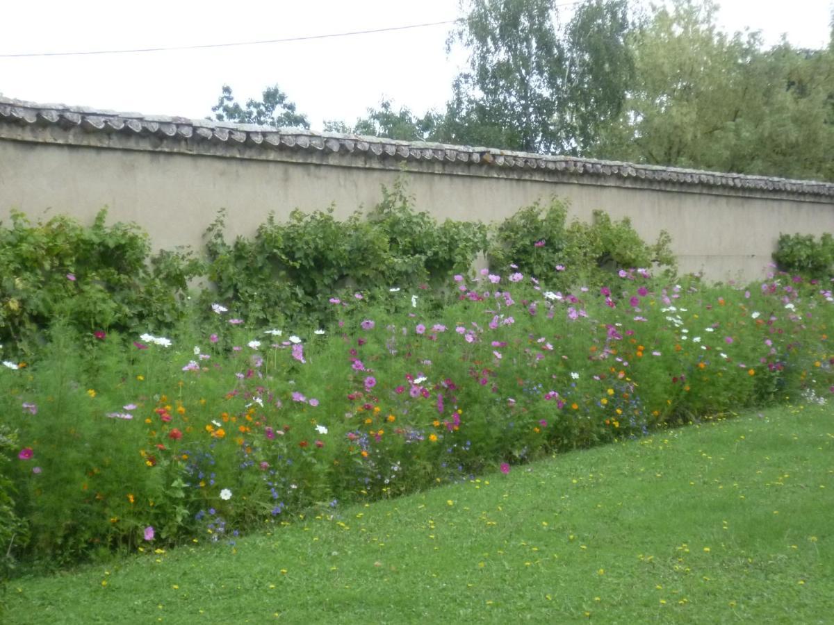 Chateau Des Charmes Guereins Buitenkant foto